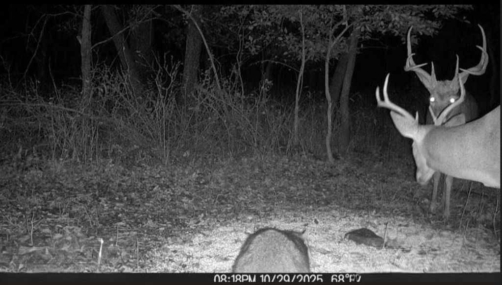 1013 2400th Street, Laharpe, KS 66751