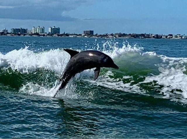 5200 BRITTANY DRIVE S 407, St Petersburg, FL 33715