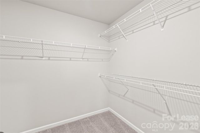 7017 Stoney Wood Lane, Charlotte, NC 28215