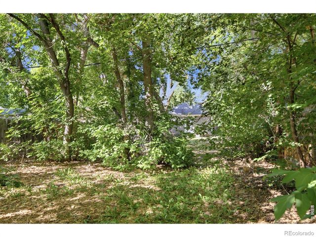 316 N Grant Avenue, Fort Collins, CO 80521