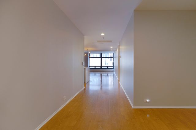 680 N Lake Shore Drive 1109, Chicago, IL 60611