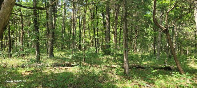 2 Clem Creek Rd, Chapel Hill, TN 37034