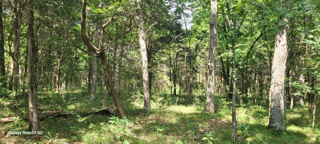 2 Clem Creek Rd, Chapel Hill, TN 37034