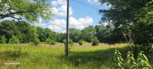 2 Clem Creek Rd, Chapel Hill, TN 37034