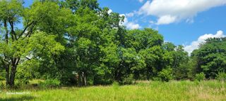 2 Clem Creek Rd, Chapel Hill, TN 37034