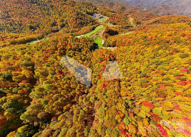 256 Haulback Way, Sylva, NC 28779