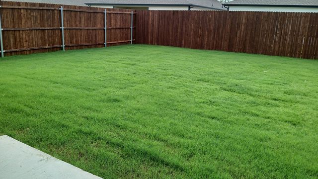 320 Whispering Pine Drive, Royse City, TX 75189