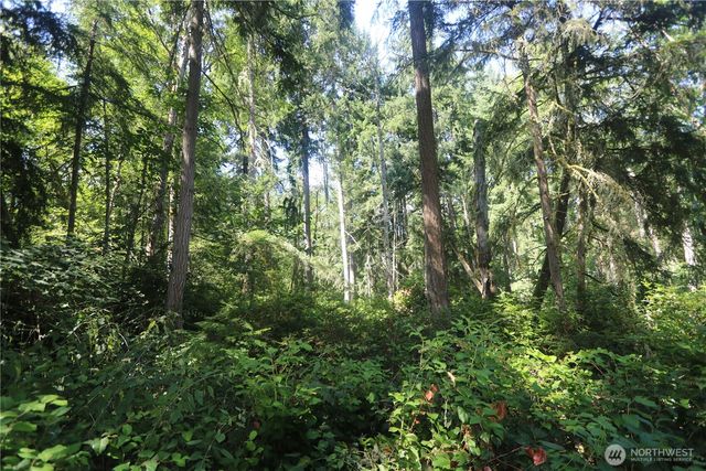 28686 141st Avenue SW, Vashon, WA 98070
