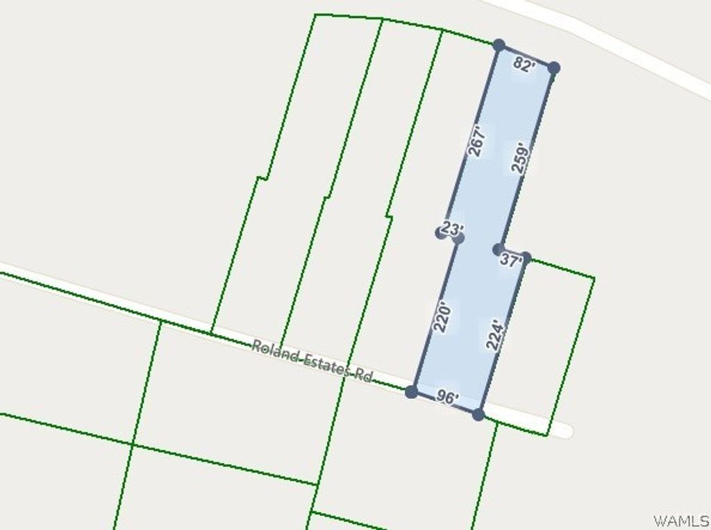 221 Roland Open, Carrollton, AL 35447