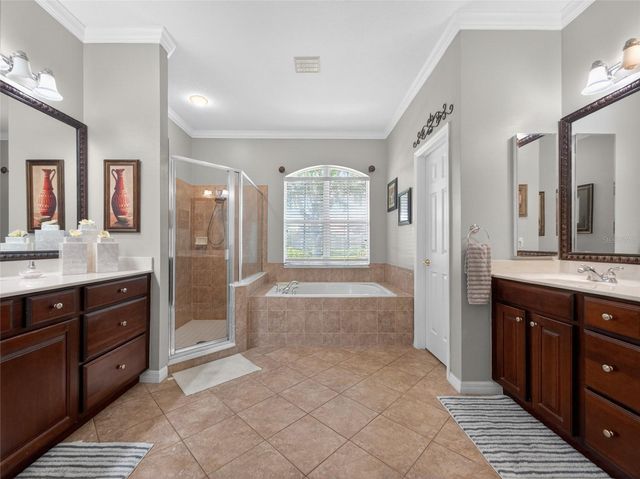 10354 OAKVIEW POINTE TERRACE, Gotha, FL 34734