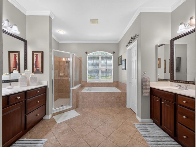 10354 OAKVIEW POINTE TERRACE, Gotha, FL 34734