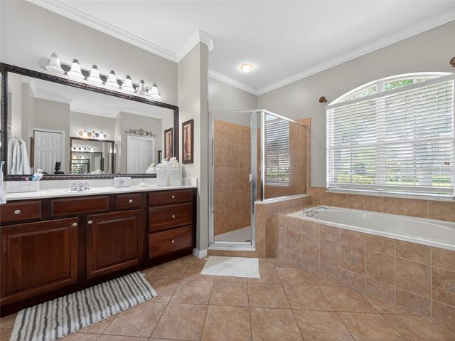 10354 OAKVIEW POINTE TERRACE, Gotha, FL 34734
