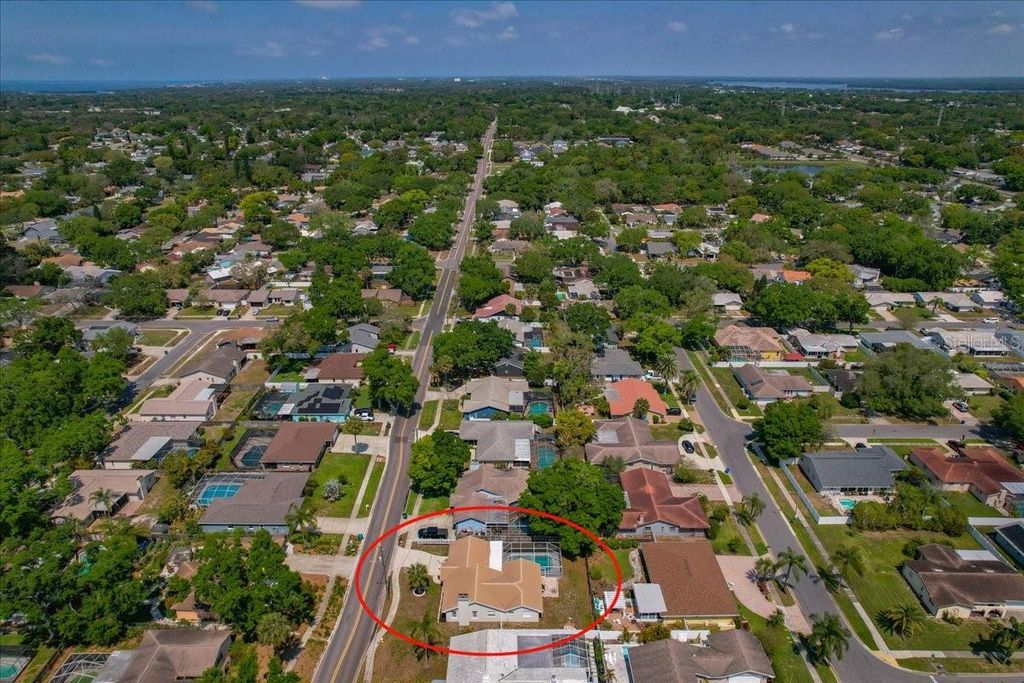 Image 40 of property listing at 220 19TH STREET, Palm Harbor, FL 34683