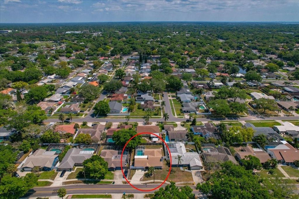 Image 47 of property listing at 220 19TH STREET, Palm Harbor, FL 34683