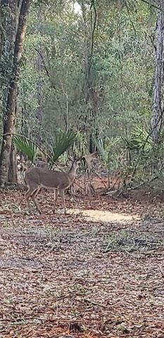 7982 W MAYFAIR DRIVE, Homosassa, FL 34448