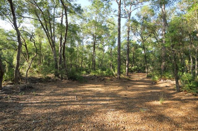 7982 W MAYFAIR DRIVE, Homosassa, FL 34448