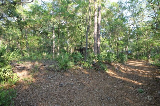 7982 W MAYFAIR DRIVE, Homosassa, FL 34448