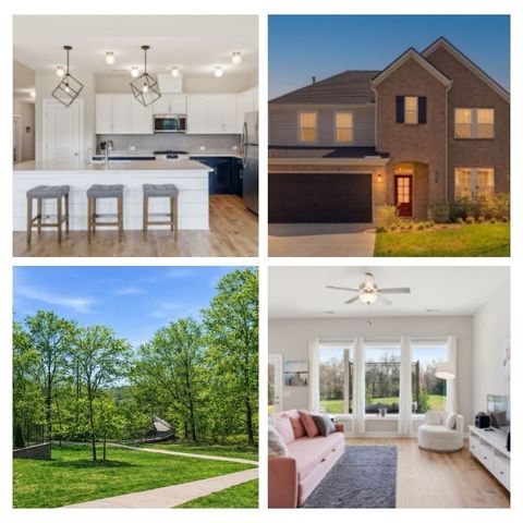 507 Stinson Ct, White House, TN 37188