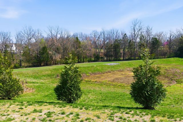 507 Stinson Ct, White House, TN 37188