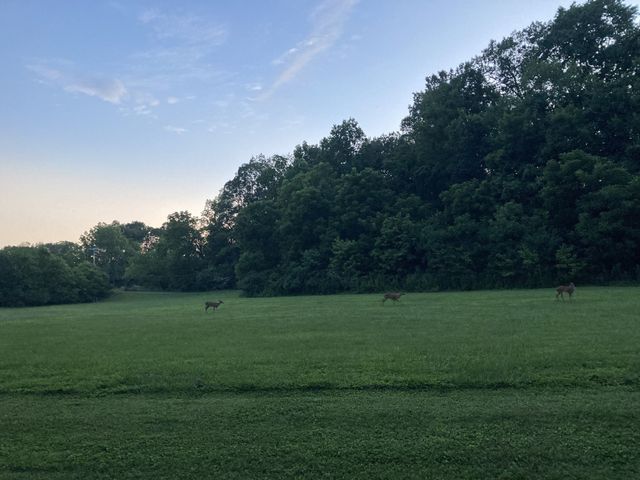 507 Stinson Ct, White House, TN 37188