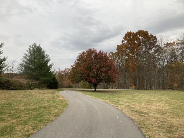507 Stinson Ct, White House, TN 37188