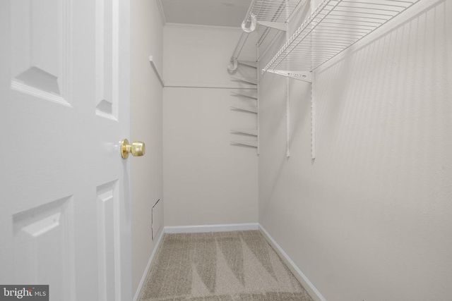 1804 PICADILLY CIRCUS, Culpeper, VA 22701
