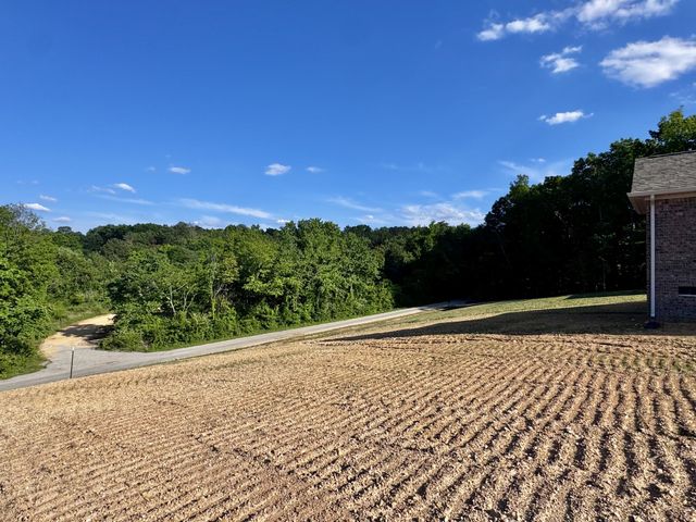 1001 Addys Ln, Lawrenceburg, TN 38464