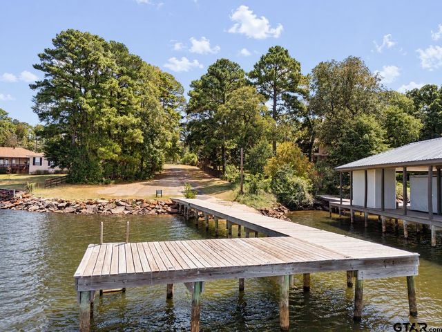 20851 Lakeview Dr, Flint, TX 75762