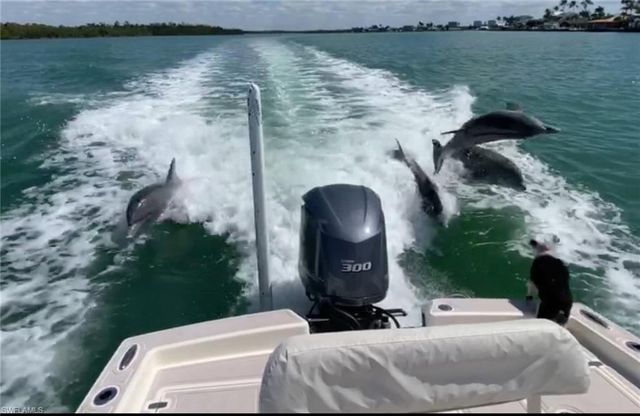 129 Pago Pago DR E, Naples, FL 34113