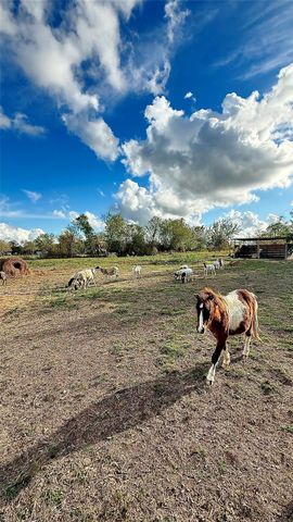 3293 County Road 181, Alvin, TX 77511