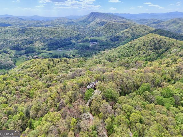 913 Tiger Pass Drive, Tiger, GA 30576