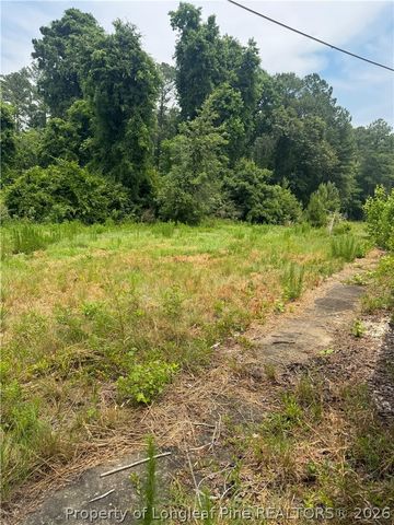 1730 Easterling Drive, Spring Lake, NC 28390