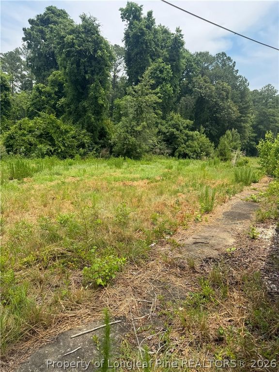 1730 Easterling Drive, Spring Lake, NC 28390 — photo 20