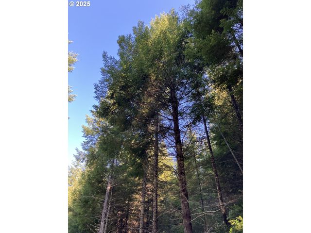 S Sumner Rd, Coos Bay, OR 97420