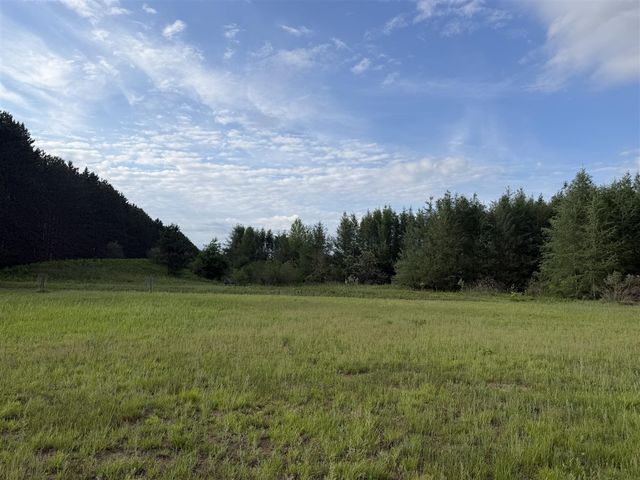 5236 110th Avenue, Evart, MI 49631