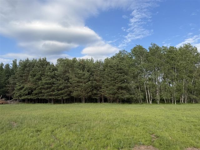 5236 110th Avenue, Evart, MI 49631