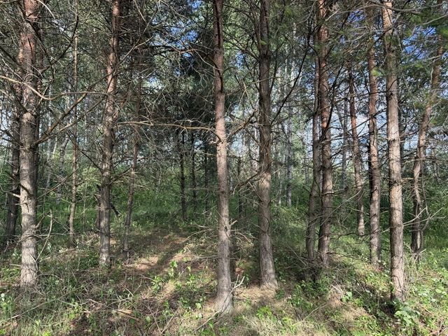 5236 110th Avenue, Evart, MI 49631