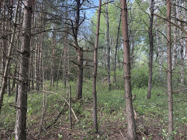 5236 110th Avenue, Evart, MI 49631