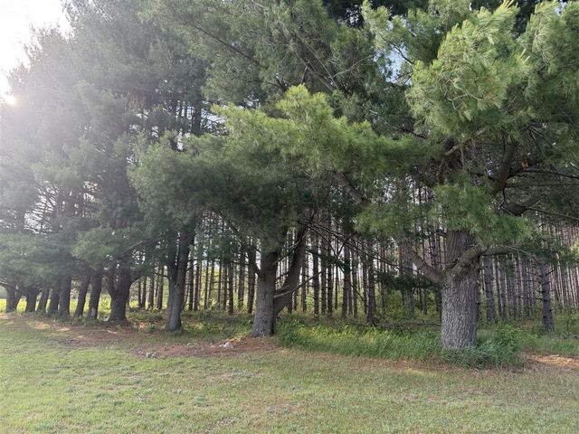 5236 110th Avenue, Evart, MI 49631