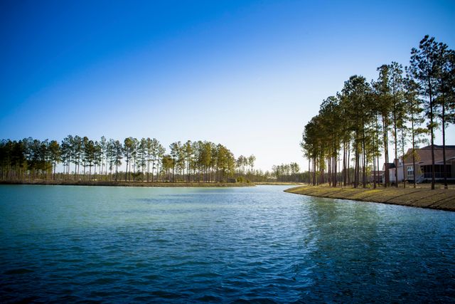 408 Richfield Way, Summerville, SC 29486