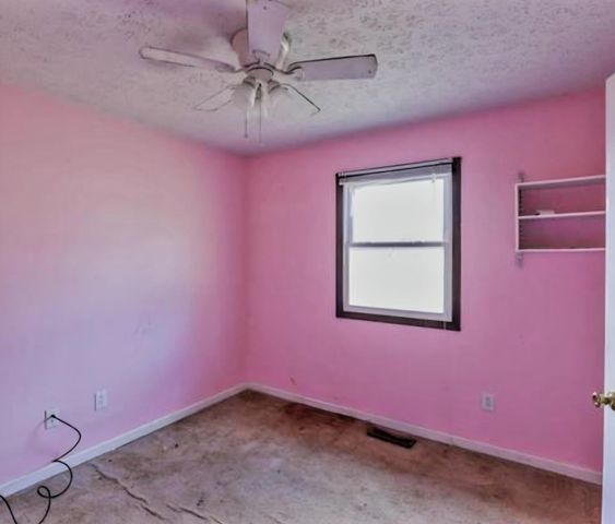 143 McCullom Lane, Ledbetter, KY 42058