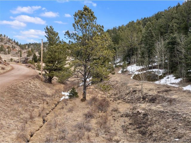 278 Penrose Cir, Florissant, CO 80816