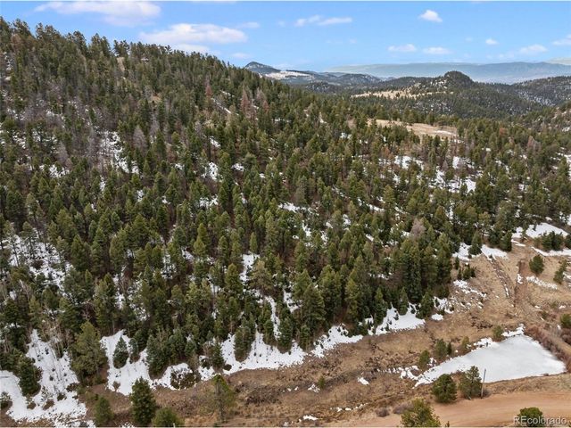 278 Penrose Cir, Florissant, CO 80816