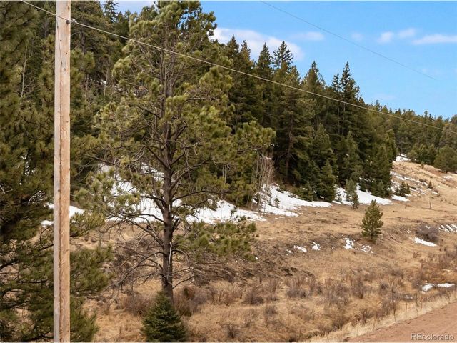 278 Penrose Cir, Florissant, CO 80816