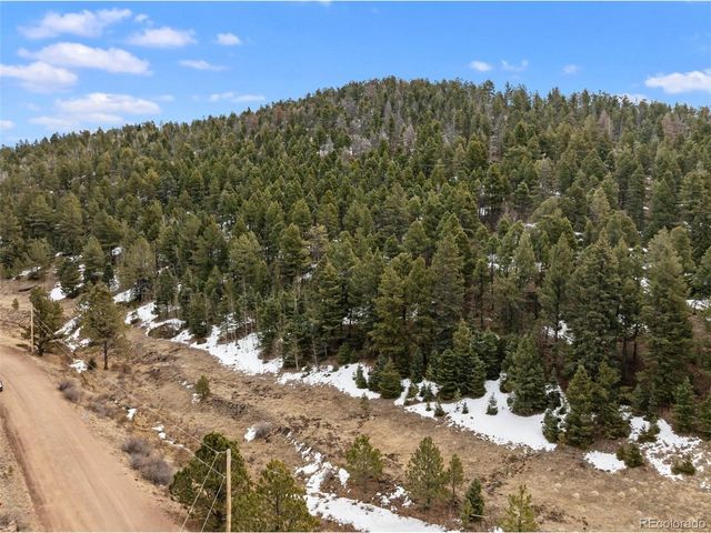 278 Penrose Cir, Florissant, CO 80816