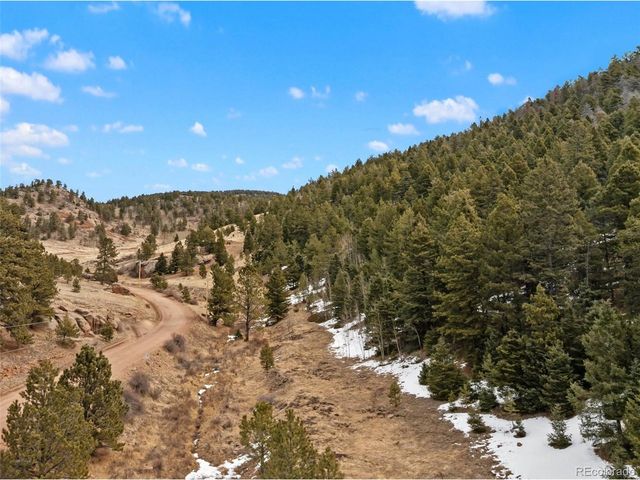 278 Penrose Cir, Florissant, CO 80816