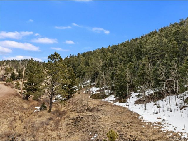 278 Penrose Cir, Florissant, CO 80816
