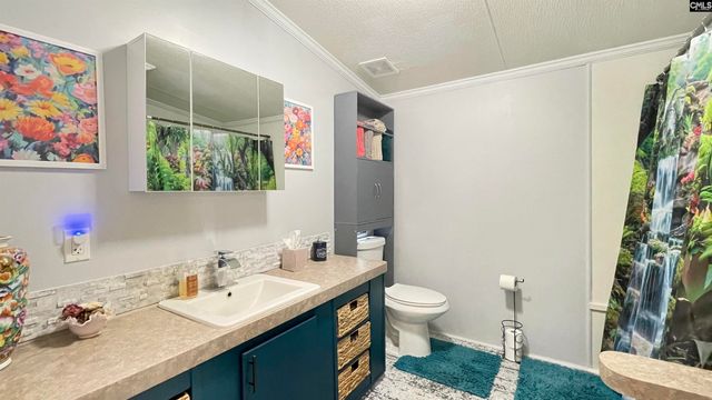 1117 NE Miles Road, Blythewood, SC 29016