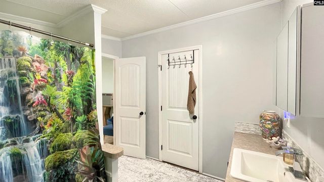1117 NE Miles Road, Blythewood, SC 29016