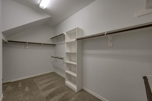 122 S Bearkat Court, Montgomery, TX 77316